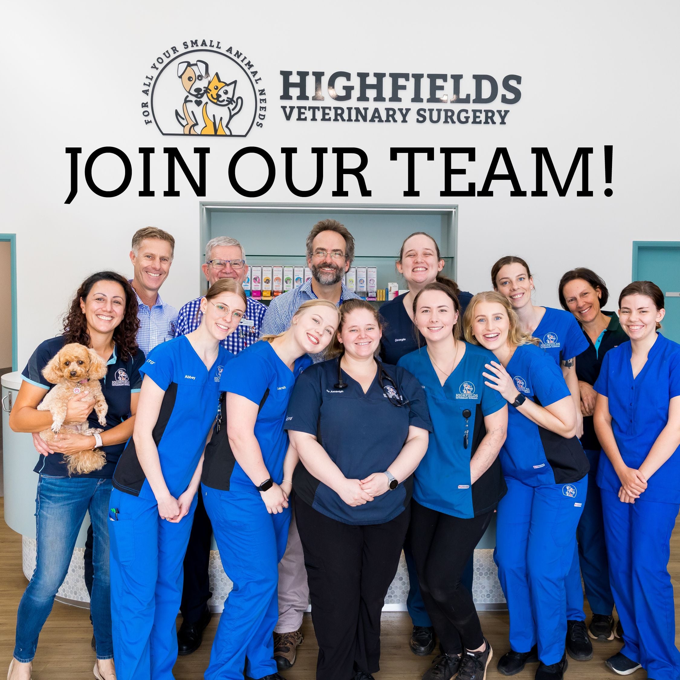 Join Highfield's Vet Surgery! Join Highfield's Vet Surgery!